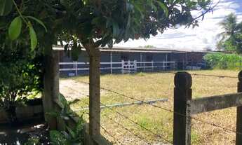 Imagem 4: Chácara A Venda