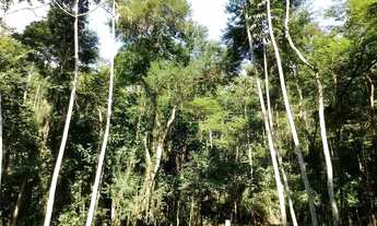 Imagem 6: Terreno 20.000m2