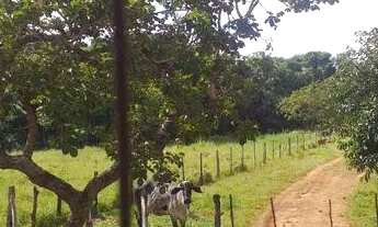 Imagem 2: Chácara Luziânia 20.000m2 casa 2qts valor 290mil aceito carro casa apto
