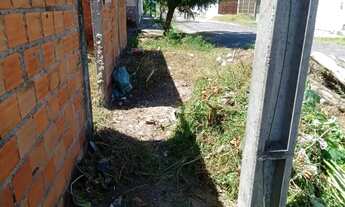 Imagem 2: Casa na Santa Maria da codip