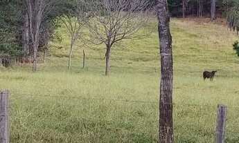 Imagem: Chácara em Avelinópolis