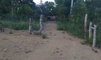 Imagem 6: Fazenda Goiás São João da Aliança