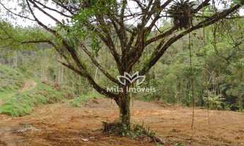 Imagem 6: Terreno à venda, 466609 m² por R$ 2.200.000,00 - Zona Rural - Alfredo Chaves/ES