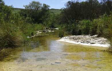 Imagem: FAZENDA A VENDA REGIAO DE DIAMANTINA ( 4118