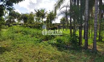 Imagem 6: Chácara Residencial disponível para Venda no bairro Panorama em Uberlândia-MG