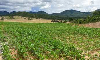 Imagem 2: Fazenda à venda 535 alqueires Vila Propício-GO