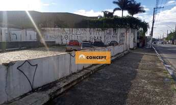 Imagem 2: TERRENO COMERCIAL PARA LOCAÇÃO, VILA MARIA DE MAGGI