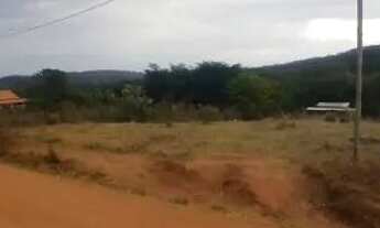 Imagem 3: Lote 1000 metros