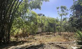 Imagem 5: Oportunidade única! Chácara rural