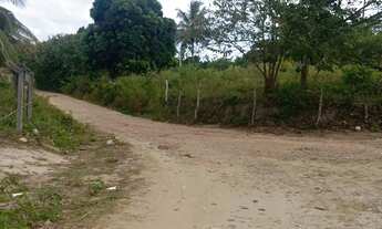 Imagem 3: Terreno na pitanga