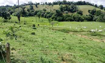Imagem 2: Vendo excelente fazendinha em Nazaré das farinha