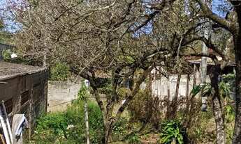 Imagem 7: Terreno jardim santa Hermínia 125m com escritura