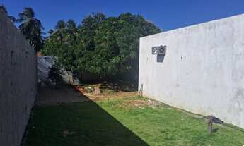 Imagem 2: Terreno/mosqueiro