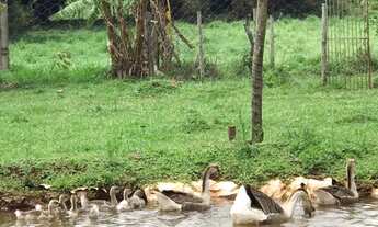 Imagem 5: Sítio a venda em Uberaba