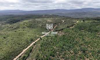 Imagem 4: VENDO FAZENDA PARA PLANTIO DE CAFE, EUCALIPTO OU BATATA NO NORTE MG, GRAO MOGOL 1000 HA CO