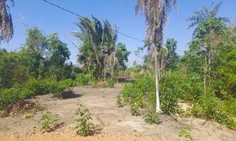 Imagem 2: Sitio povoado santa luz