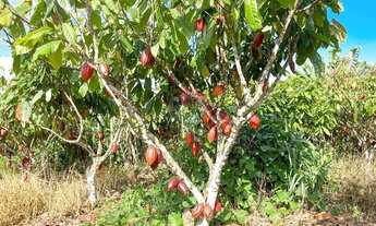 Imagem 4: Sitio de 10 tarefas a venda na região da Várzea Valença BA!