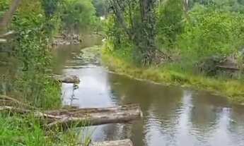 Imagem 5: Vende-se esse terreno no Iranduba AM