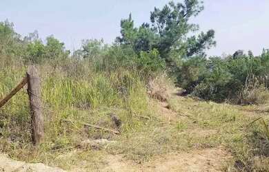 Imagem 4: Área Rural 5 Alqueires - 3 Barras de Cima - Bateias!