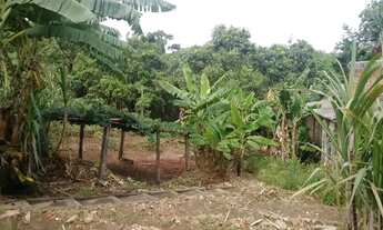 Imagem 2: Chácara à venda em glebas california, piracicaba 4 quartos 2000m²