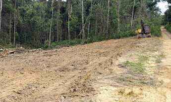 Imagem 2: Térreno 6.000m2. Tarumã