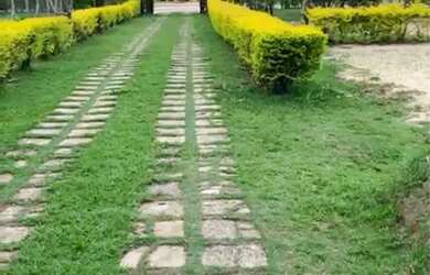 Imagem: Vendo sitio em andiroba esmeraldas