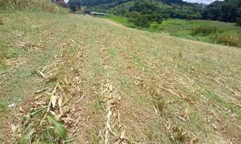 Imagem 4: Fazenda , 50 hectares, casarão, muita baixada