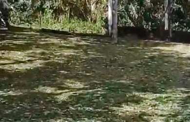 Imagem 6: Vendo terreno de 1.000 mt2