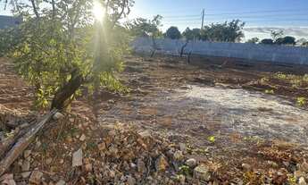 Imagem 5: Terreno de 1.800m2 na beira da avenida Buriti