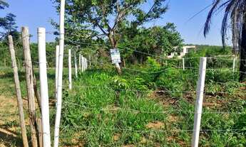 Imagem 2: Lotes no bairro atalaia