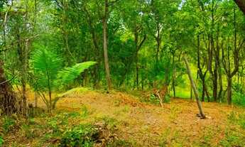 Imagem 7: Lote exclusivo de 581m², 100% aproveitável, com nascente, Fruta, aberto a propostas, troco