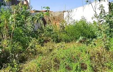 Imagem 3: Terreno no bairro Aeroporto medindo 260 m². [1654