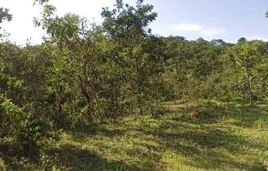 Imagem 4: Terreno Chácara 3 Alqueires 5 Km BR 414 Cocalzinho de Goiás
