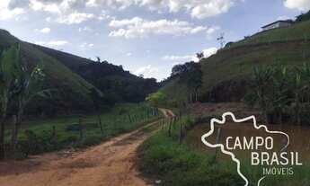 Imagem 4: Campo Brasil Imóveis, realizando seu sonho rural! Chácara de 8.000 m² bem localizada!