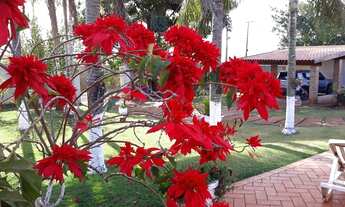 Imagem 7: Linda Chácara à Venda (com acesso ao Rio Pardo