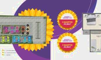 Imagem 6: Doce Vida Girassós, no Rolsa Elze