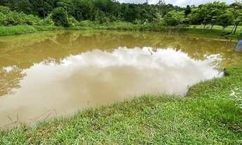 Imagem 5: Chácara em Itaberai 5.5 alqueires