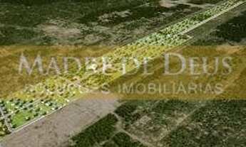 Imagem 6: PECéM - Terreno Padrão - Pecém