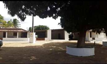 Imagem 6: Ótima Fazenda com 20 hectares na região de Macaíba de porteira fechada