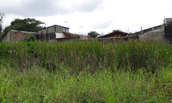 Imagem 3: Terreno para Venda em Itanhaém, Jd das Palmeiras