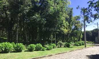 Imagem: Terreno Presépio