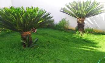 Imagem 3: Casa em lote inteiro no Grã Duquesa