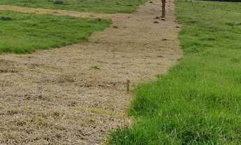 Imagem 2: Vendo melhor terreno da região de nazare paulista -SP