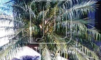 Imagem 4: Casa (térrea na rua) 2 dormitórios/suite, cozinha planejada