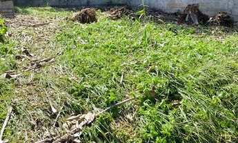 Imagem 4: Terreno com 301,38m2, em ótimo local, confira