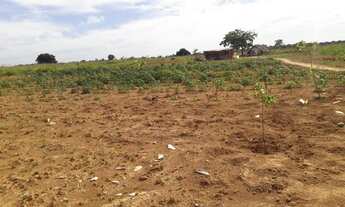 Imagem: Chácara no rio negro ms