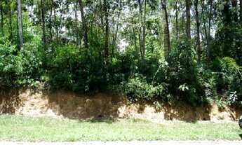 Imagem: Lote/Terreno para venda com 1000 m2 aclive