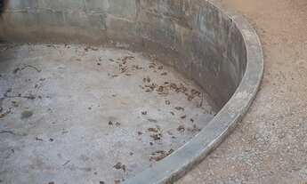 Imagem 6: Chácara Chácara com venda por R$160.000