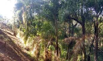 Imagem 2: Terreno em Morro Grande - Caieiras