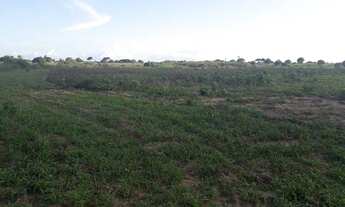 Imagem 2: Linda Fazenda com 25 hectares na região de boa saúde